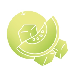 Honeydew Melon